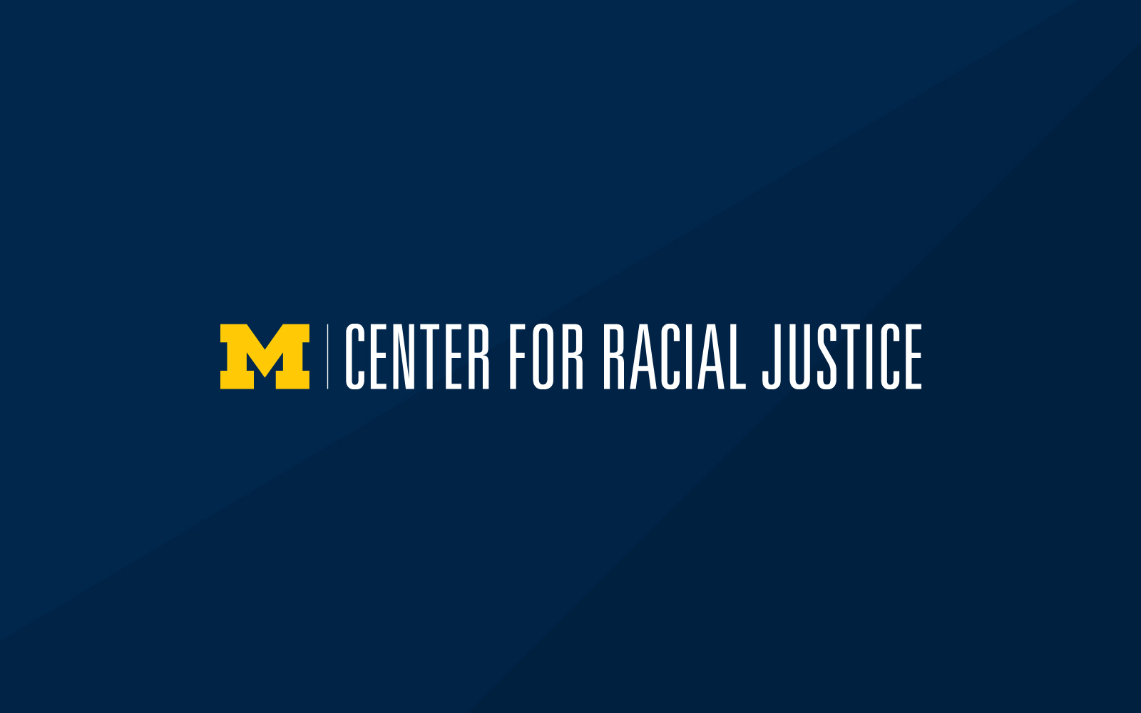 Dinner for democracy: Race and the criminal justice system 