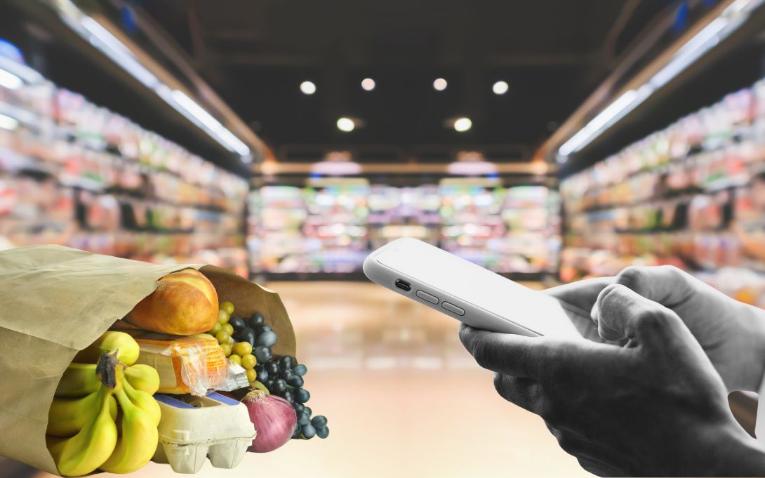 Potential of grocery delivery services to increase food access in Detroit